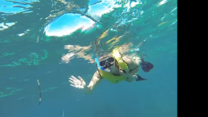 Snorkeling in Costa Maya Mexico